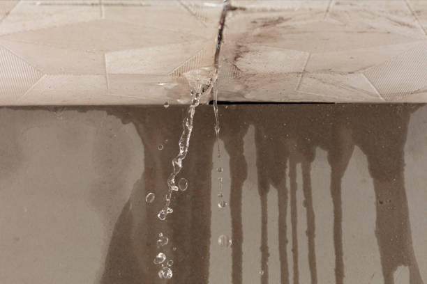 Professional Burst Pipe Cleanup technician working in Quebeck, TN